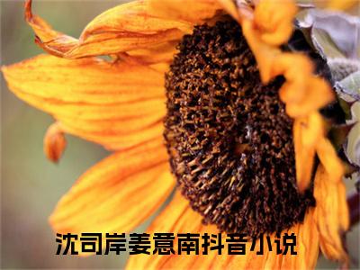 沈司岸姜意南（沈司岸姜意南）全文免费阅读无弹窗大结局_ （沈司岸姜意南）沈司岸姜意南最新章节列表_笔趣阁（沈司岸姜意南）