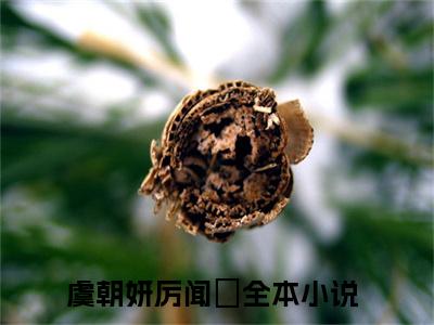 虞朝妍厉闻璟（虞朝妍厉闻璟)全文免费阅读无弹窗大结局_虞朝妍厉闻璟（虞朝妍厉闻璟）全文完整无删减版免费阅读（虞朝妍厉闻璟）