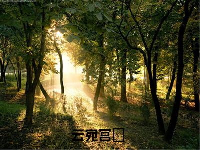 云宛宫璟(云宛宫璟)全文免费阅读无弹窗大结局_(云宛宫璟)小说免费阅读无弹窗最新章节列表_笔趣阁