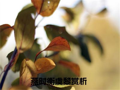 燕时衡虞黎阅读无弹窗大结局_（燕时衡虞黎阅读无弹窗）最新章节列表_笔趣阁（燕时衡虞黎）