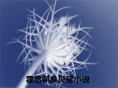 霍丞朔桑贝瑶（霍丞朔桑贝瑶）全文免费阅读无弹窗大结局_(霍丞朔桑贝瑶小说免费阅读)最新章节_笔趣阁（霍丞朔桑贝瑶）