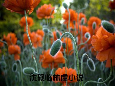 沈砚临林虞（沈砚临林虞）全文免费沈砚临林虞读无弹窗大结局_(沈砚临林虞）免费沈砚临林虞读全文最新章节列表_笔趣阁（沈砚临林虞）