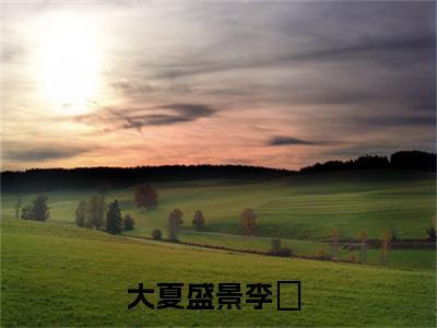 李愔小说叫什么名字（大夏盛景）完整版大结局-李愔小说在线阅读