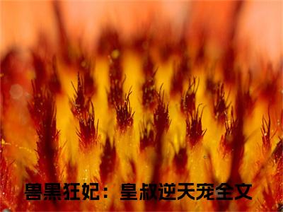 慕无双小说最新章节阅读-兽黑狂妃：皇叔逆天宠全文免费试读