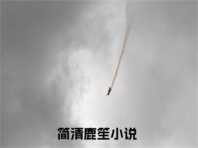 简清鹿笙（简清鹿笙）全文免费阅读无弹窗大结局_简清鹿笙最新章节列表（简清鹿笙）