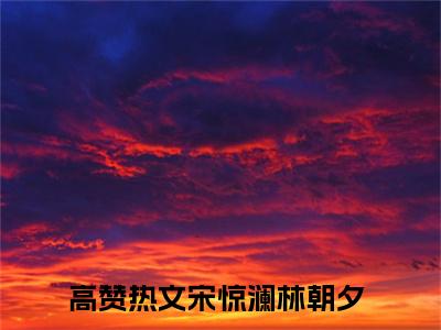 宋惊澜林朝夕免费小说（宋惊澜林朝夕）全文免费阅读无弹窗大结局_宋惊澜林朝夕免费小说最新章节列表_笔趣阁(宋惊澜林朝夕免费小说）