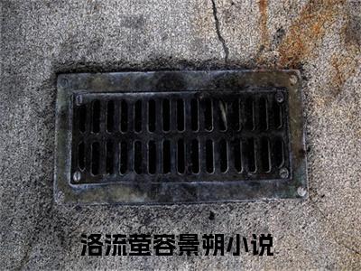 《洛流萤容景朔》全文免费阅读无弹窗大结局_洛流萤容景朔无弹窗全文阅读