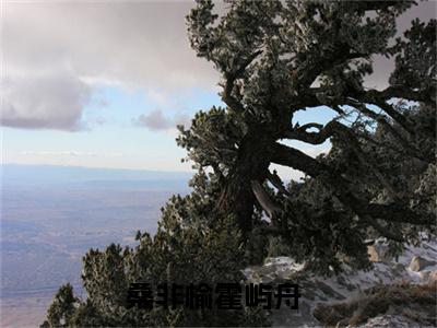 (抖音小说)桑非榆霍屿舟免费阅读桑非榆霍屿舟在线阅读大结局