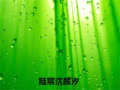 陆宸沈颜汐（陆宸沈颜汐）正版小说最新章节在线阅读_（陆宸沈颜汐全文免费阅读无弹窗）