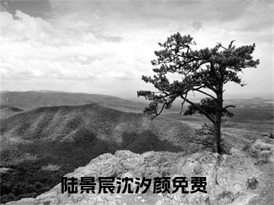 陆景宸沈汐颜(陆景宸沈汐颜)全文免费阅读无弹窗大结局_陆景宸沈汐颜完整版在线阅读章节列表_笔趣阁