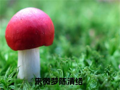 朱微梦陈清络在线阅读（朱微梦陈清络）全文免费阅读大结局_朱微梦陈清络免费最新章节列表_笔趣阁