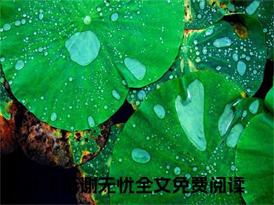 叶子珩谢无忧小说小说今日阅读更新-（叶子珩谢无忧小说）全文免费阅读-叶子珩谢无忧小说