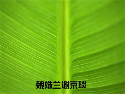 魏姝兰谢京琰（魏姝兰谢京琰）最新热门小说-魏姝兰谢京琰免费阅读