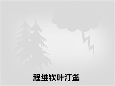 程维钦叶汀鸢是什么小说 程维钦叶汀鸢全本免费阅读