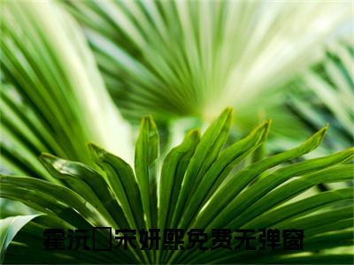 霍沅昇宋妍熙小说（霍沅昇宋妍熙）最新章节阅读-最新热点小说霍沅昇宋妍熙