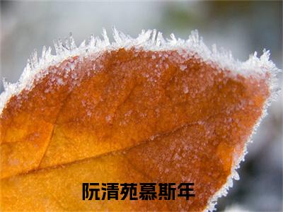 阮清苑慕斯年全本资源免费阅读结局无删节主角：阮清苑慕斯年小说全文阅读无弹窗