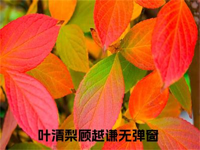 叶清梨顾越谦最新章节（叶清梨顾越谦）全文免费阅读无弹窗大结局_叶清梨顾越谦全文免费阅读