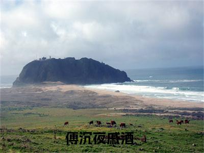 傅沉夜戚酒小说 傅沉夜戚酒免费章节阅读