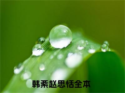 韩紊赵思恬小说免费阅读无弹窗-韩紊赵思恬（韩紊赵思恬）小说免费阅读无弹窗大结局