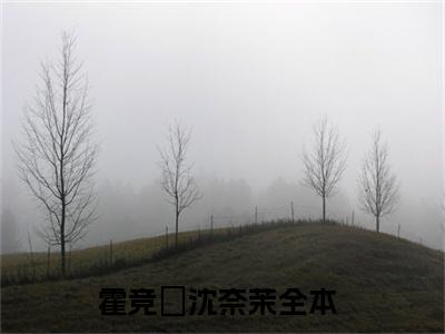 霍竞旻沈奈茉小说（霍竞旻沈奈茉）全文免费阅读大结局无删减_（霍竞旻沈奈茉）霍竞旻沈奈茉小说最新章节列表_笔趣阁（霍竞旻沈奈茉）