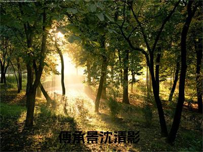 傅承景沈清影小说(傅承景沈清影)全文免费阅读无弹窗大结局_(傅承景沈清影)小说章节列表