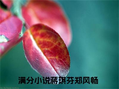 蒋琪芬郑风畅（蒋琪芬郑风畅最新全章节大结局）全文阅读-蒋琪芬郑风畅在线小说免费阅读