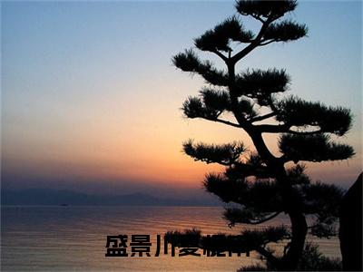 盛景川夏栀南（盛景川夏栀南）免费阅读全本资源-热门新书盛景川夏栀南在线阅读