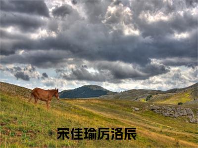 难道小丑永远都得不到宠爱吗（宋佳瑜厉洛辰）未删减-难道小丑永远都得不到宠爱吗完结版阅读地址