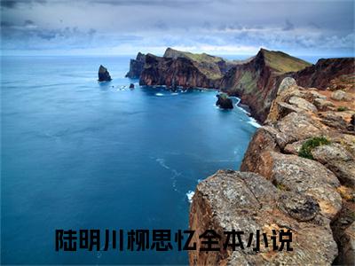 陆明川柳思忆（陆明川柳思忆）小说全文免费阅读正版无弹窗_陆明川柳思忆完结免费阅读无弹窗_笔趣阁