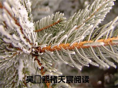 吴婼熙褚天宸（吴婼熙褚天宸）最新章节免费阅读全文-完结小说吴婼熙褚天宸在线阅读