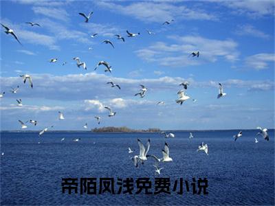 帝陌凤浅小说（鸿蒙归！四灵现！她携众兽灭三界）全文免费阅读无弹窗大结局_帝陌凤浅小说最新章节列表_笔趣阁