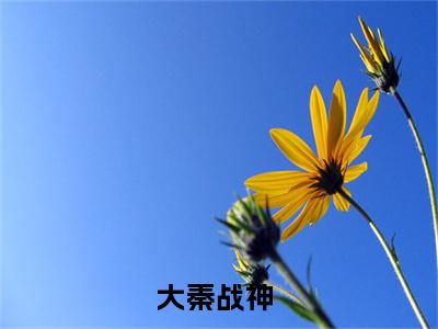 大秦战神小说林易无弹窗免费阅读-最新小说大秦战神(林易)全文阅读