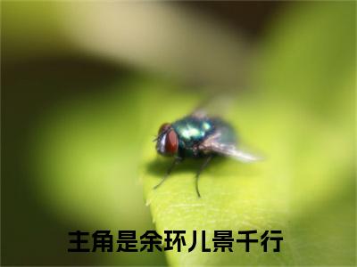 余环儿景千行（余环儿景千行）全文免费阅读无弹窗大结局_（余环儿景千行全文免费阅读无弹窗）余环儿景千行最新章节列表_笔趣阁（余环儿景千行）