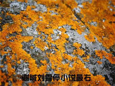 谢域刘雪停完结版小说全文在线免费阅读_谢域刘雪停最新章节列表_笔趣阁