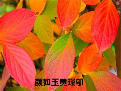 颜如玉黄瑾邬（颜如玉黄瑾邬）全文免费阅读无弹窗大结局_颜如玉黄瑾邬热门小说最新章节阅读