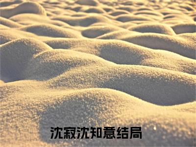 沈寂沈知意正版小说最新章节在线阅读-（沈寂沈知意）全文无弹窗阅读