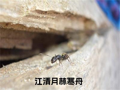 江清月林寒舟小说（江清月林寒舟）全文免费阅读大结局_（江清月林寒舟）江清月林寒舟小说最新章节列表_笔趣阁（江清月林寒舟）