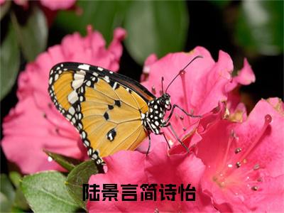 陆景言简诗怡全文免费阅读无弹窗大结局_陆景言简诗怡全文免费无弹窗最新章节列表_笔趣阁