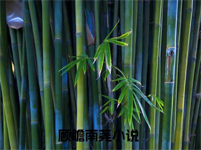 顾瞻南荛（顾瞻南荛）精彩热门小说_（顾瞻南荛）最新章节列表_笔趣阁