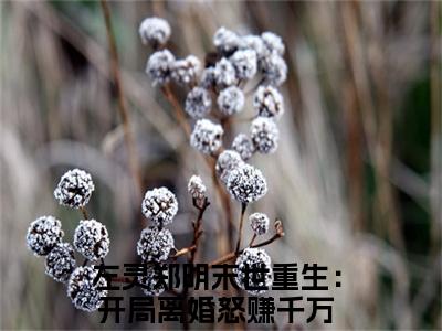 左灵郑明全文免费阅读_（末世重生：开局离婚怒赚千万免费阅读无弹窗）左灵郑明知乎高赞小说阅读