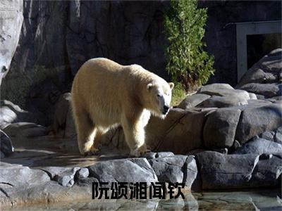 （阮颂湘闻钦）全文免费阅读无弹窗大结局_（阮颂湘闻钦小说免费阅读）阮颂湘闻钦最新章节列表_笔趣阁（阮颂湘闻钦小说免费阅读）