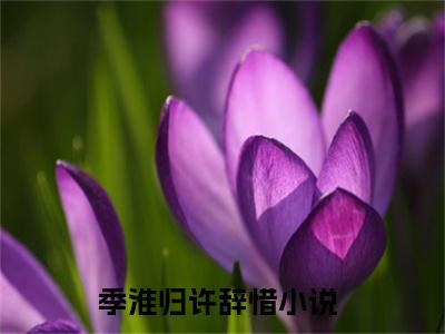 季淮归许辞惜(季淮归许辞惜)小说免费阅读-季淮归许辞惜（季淮归许辞惜）全文阅读-笔趣阁（季淮归许辞惜）