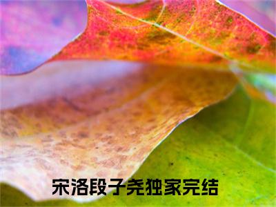 宋洛段子尧阅读无弹窗大结局_（宋洛段子尧阅读无弹窗）最新章节列表_笔趣阁（宋洛段子尧）