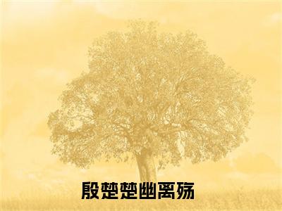 殷楚楚幽离殇小说(殷楚楚幽离殇)免费阅读无弹窗,小说名字是：殷楚楚幽离殇的小说在线阅读无删减