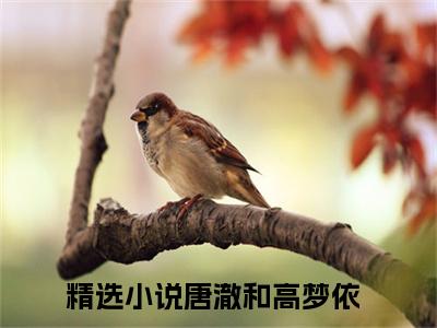 【新书】唐澈和高梦依全文全章节免费阅读-唐澈和高梦依小说免费阅读无弹窗最新章节列表