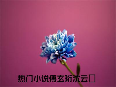 傅玄珩沈云玥（傅玄珩沈云玥）全文免费阅读无弹窗大结局_(傅玄珩沈云玥免费阅读)最新章节列表_笔趣阁