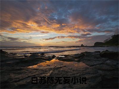 白苏陈无妄小说无广告免费阅读无删减