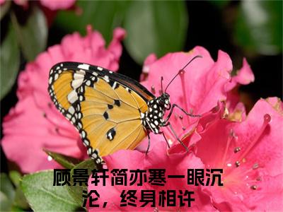 顾景轩简亦寒（一眼沉沦，终身相许）全文免费阅读无弹窗大结局_一眼沉沦，终身相许小说最新章节列表_笔趣阁（顾景轩简亦寒）