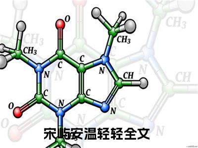 宋屿安温轻轻精选好书-宋屿安温轻轻无删减小说在线阅读（宋屿安温轻轻全文免费阅读）