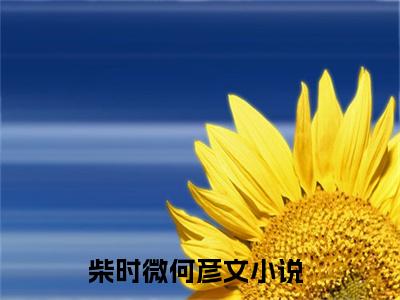 柴时微何彦文好书柴时微何彦文免费赏析-《柴时微何彦文》小说分享全集